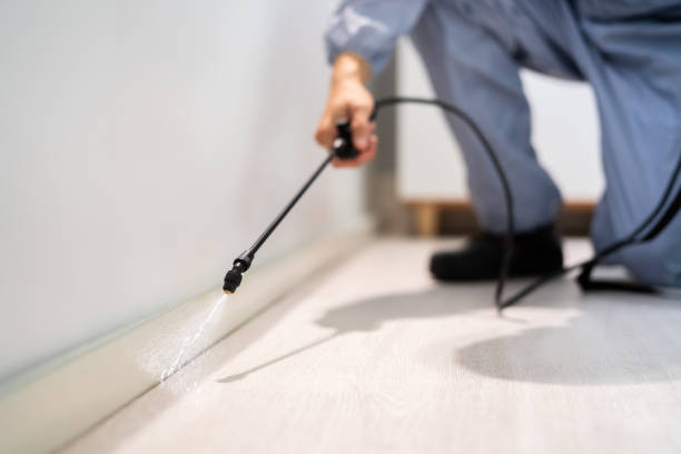 Licensed Pest Control service in Clarendon Hills, IL - Show Me Pest Control
