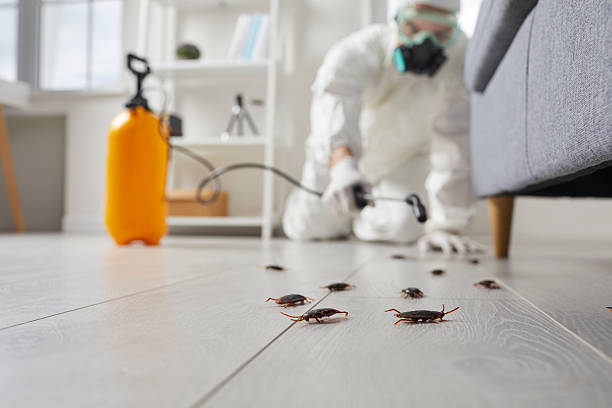 Commercial Kitchen Cockroach Control in Clarendon Hills